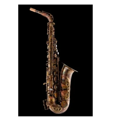 Schagerl Superior Model Alto Saxophone Vintage Finish with Deluxe case