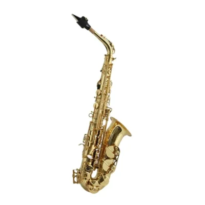 Trevor James SR Series Alto Saxophone Gold Lacquer Protech Case