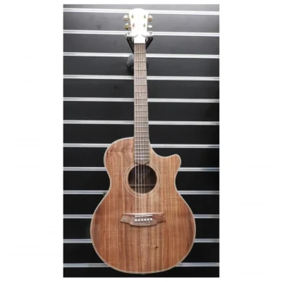 Cole Clark All Blackwood Thin Line Acoustic / Electric Guitar with Hard Case