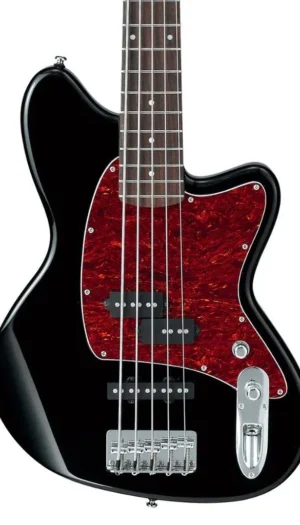 Ibanez TMB105BK Talman 5 String Electric Bass Guitar Black