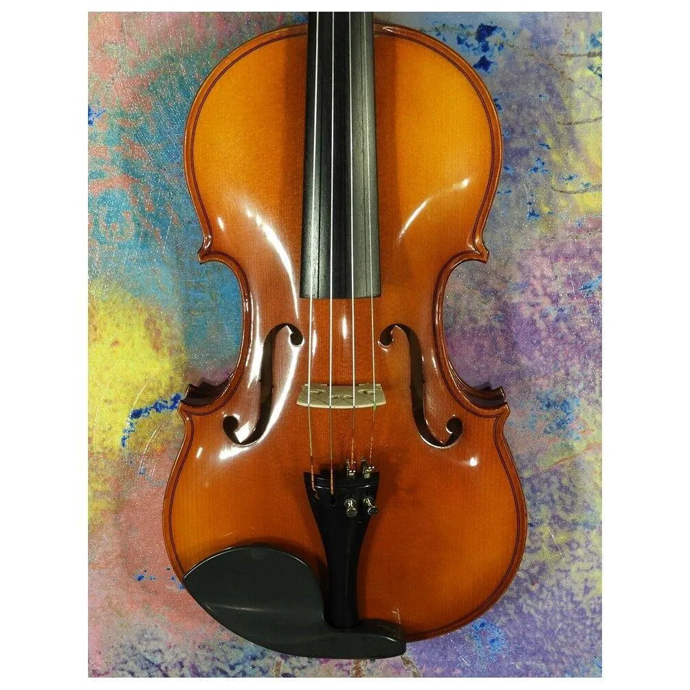 Fine European Made HORA V200 Elite 4/4 violin Outfit set up with Zyex Strings