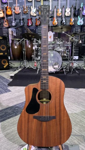 Fenech Guitars VT Series D78 Acoustic / Electric Left Hand Guitar - Solid Blackwood