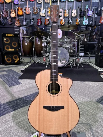 Fenech Guitars VT Professional GA Acoustic / Electric Guitar - Rosewood