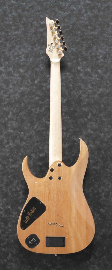IBANEZ LHM1 TGG LUKE HOSKIN SIGNATURE - Image 2