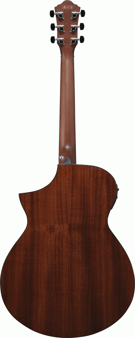 IBANEZ AEWC11 DVS ACOUSTIC GUITAR - Image 2