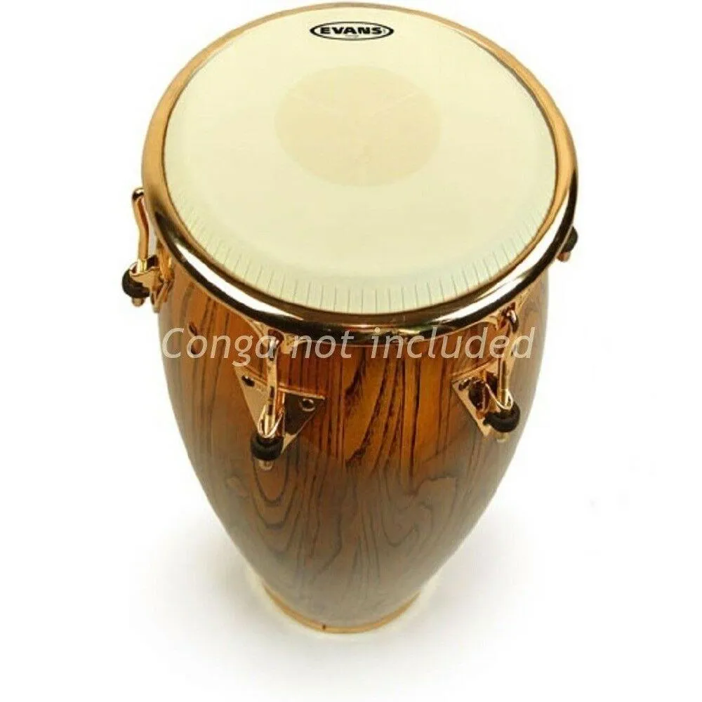 Evans Tri-Center Conga Drum Head, 12.50 Inch - Image 2