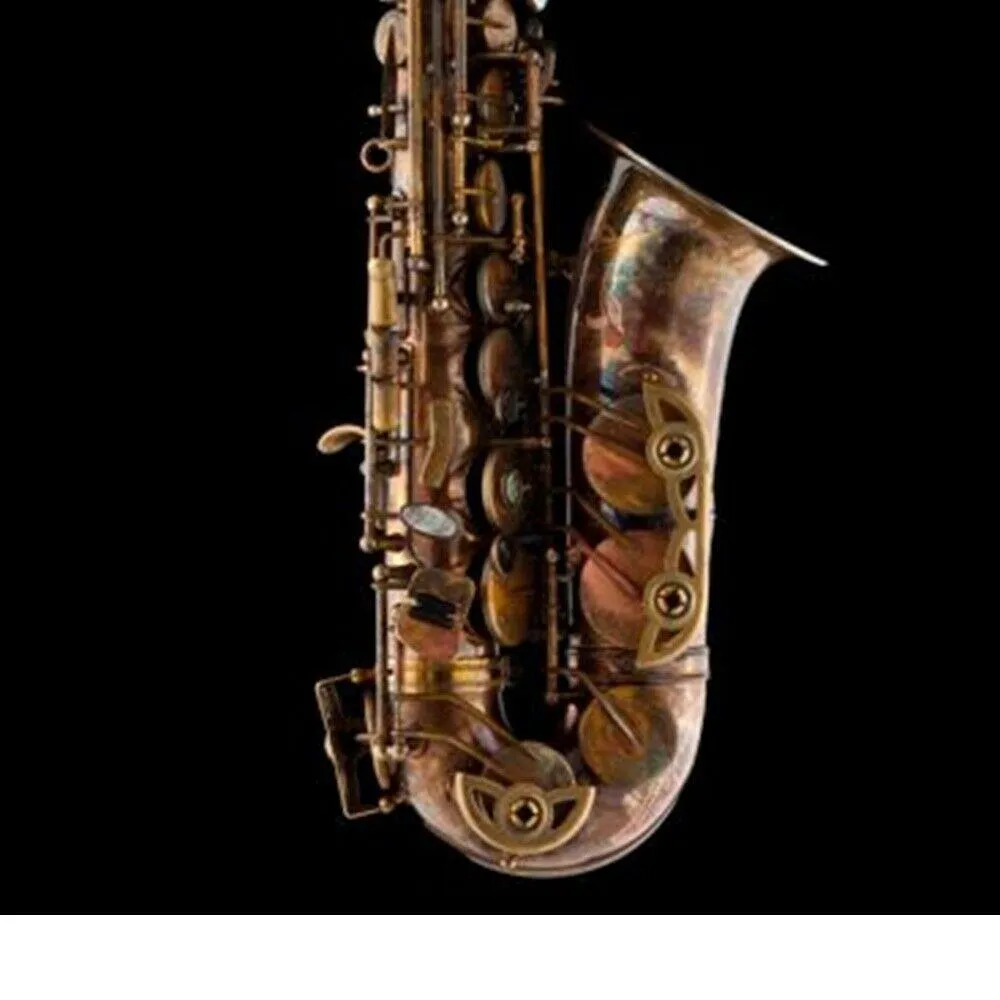 Schagerl Superior Model Alto Saxophone Vintage Finish with Deluxe case - Image 2