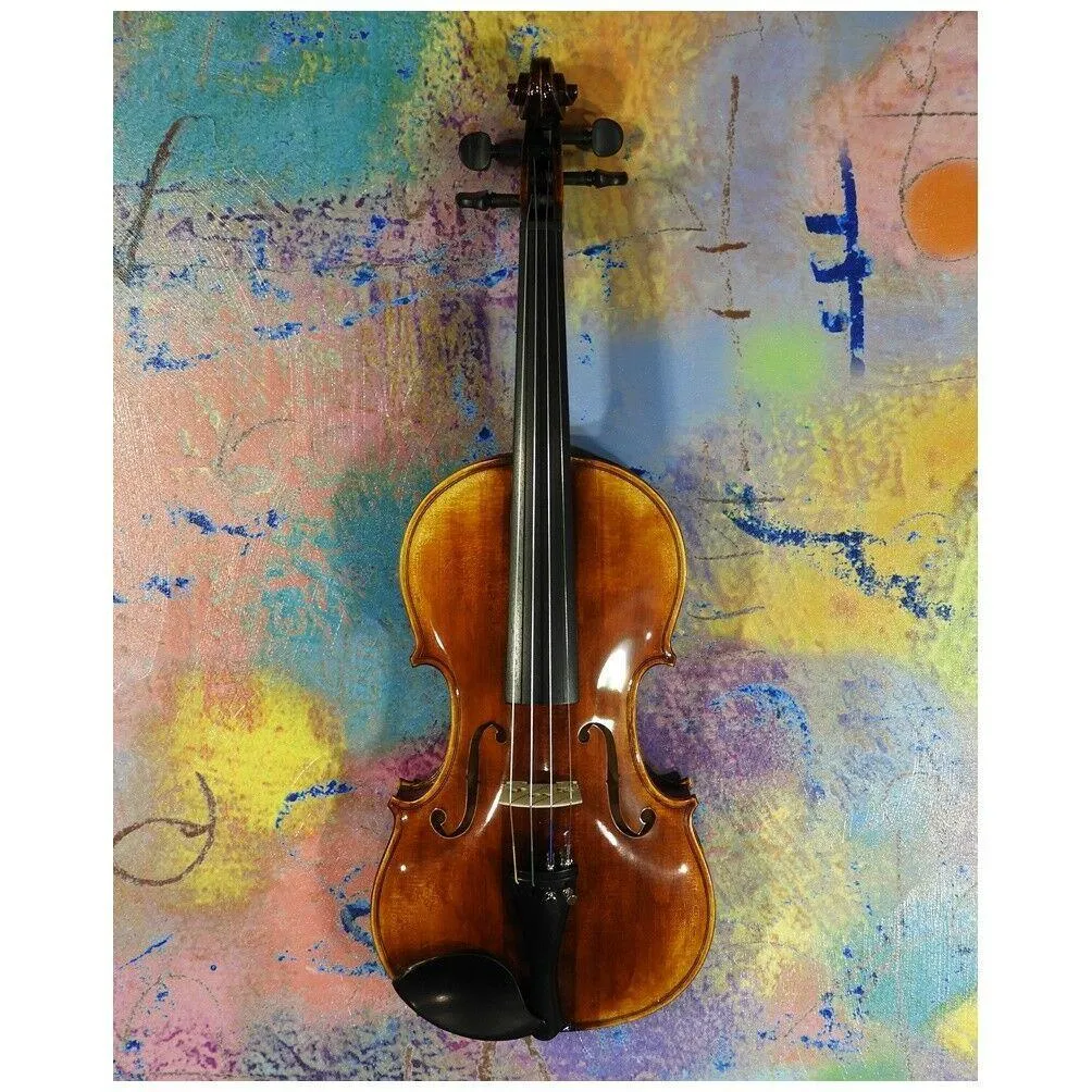 A fine European made 4/4 violin Academy V-250 Model Thomastik Strings Pro Setup - Image 2