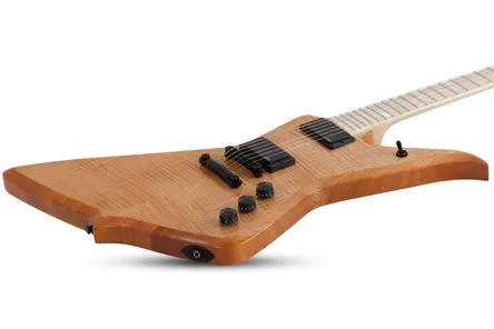 Wylde Audio Blood Eagle - Rawtop - Electric Guitar - Image 2