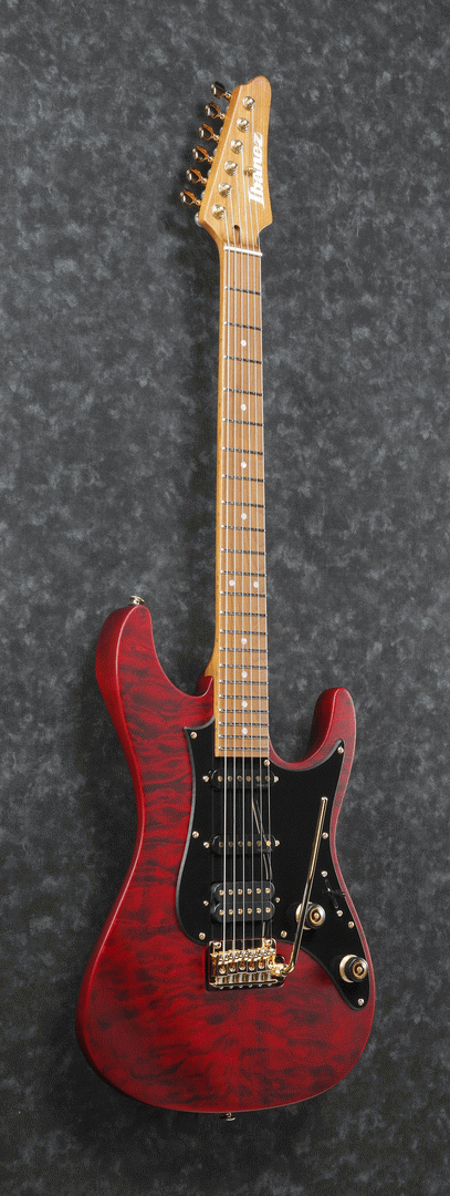 IBANEZ SLM10 TRM SCOTT LEPAGE SIGNATURE - Image 3