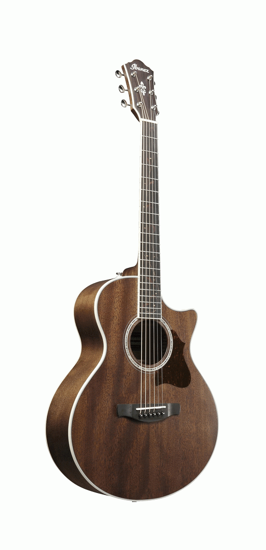 IBANEZ AE245JR OPN ACOUSTIC GUITAR - Image 3