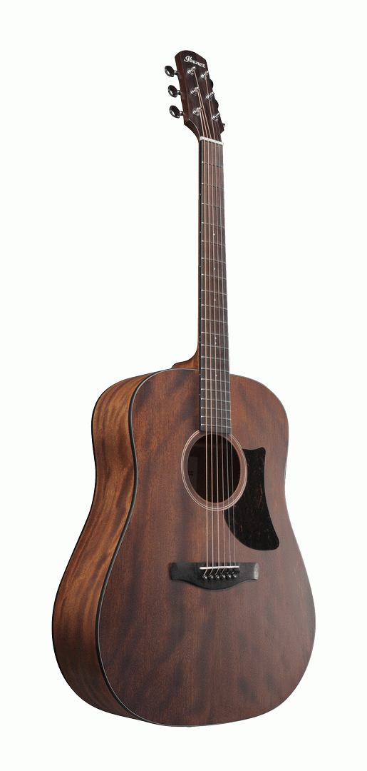IBANEZ AAD140 OPN ADVANCED ACOUSTIC - Image 3