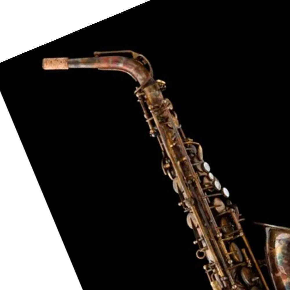 Schagerl Superior Model Alto Saxophone Vintage Finish with Deluxe case - Image 3