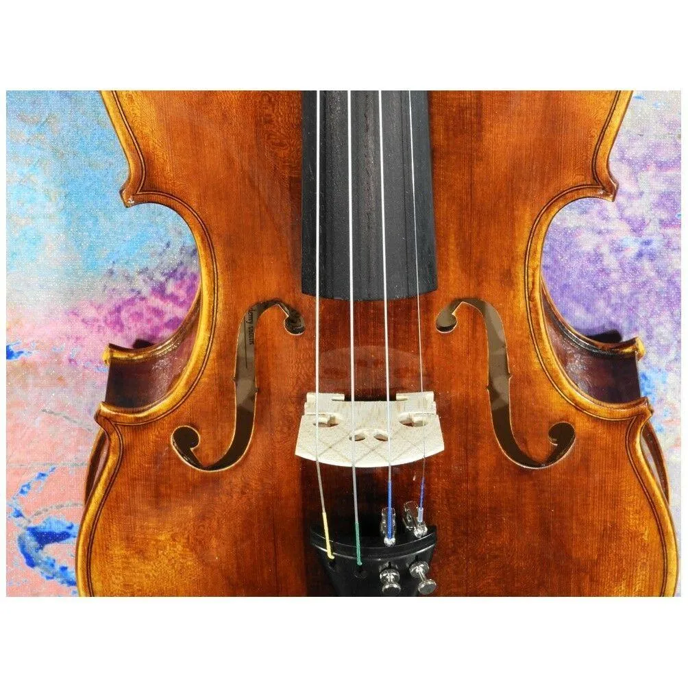 A fine European made 4/4 violin Academy V-250 Model Thomastik Strings Pro Setup - Image 3
