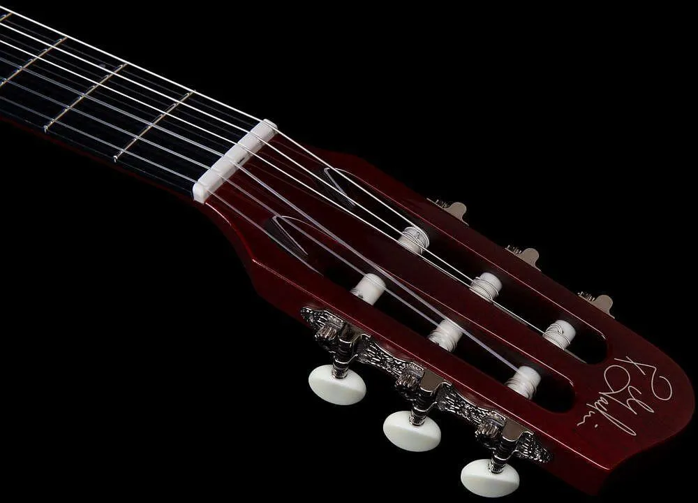 Godin Multiac Nylon Deluxe 6-String RH Classical Acoustic Electric Guitar with Gig Bag - Image 4