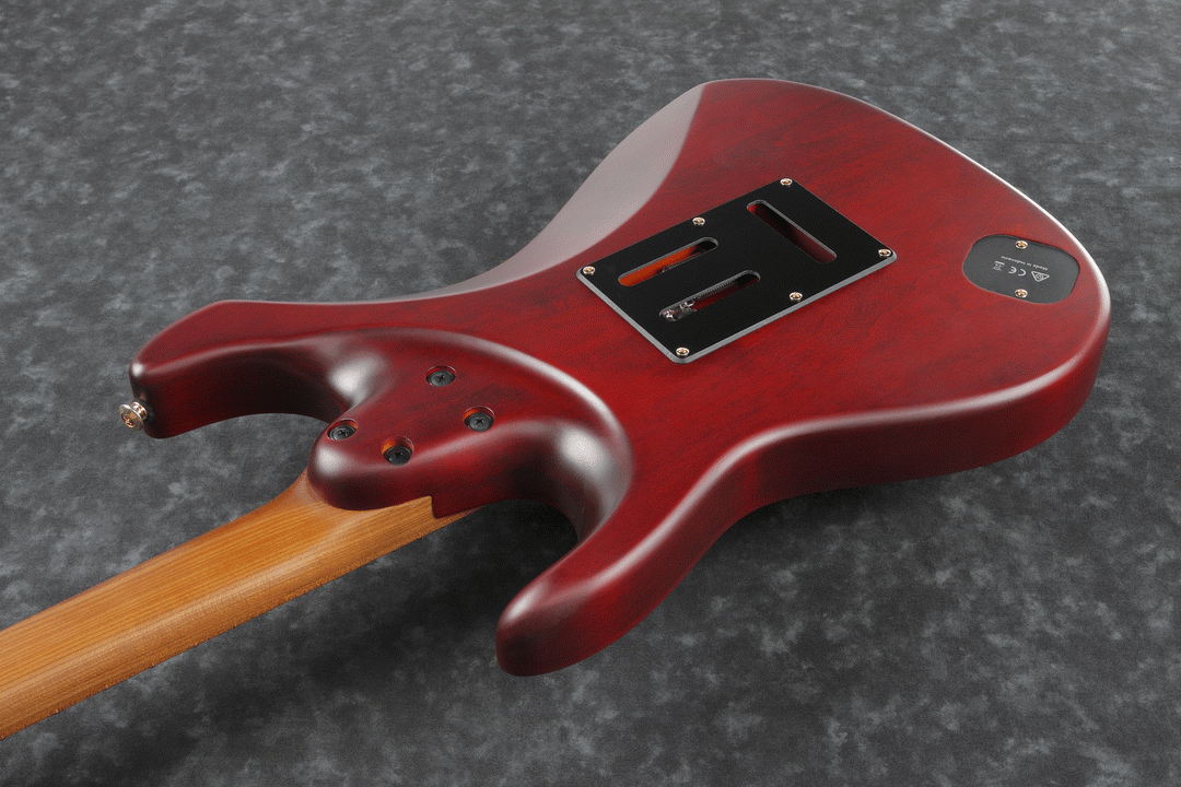 IBANEZ SLM10 TRM SCOTT LEPAGE SIGNATURE - Image 4