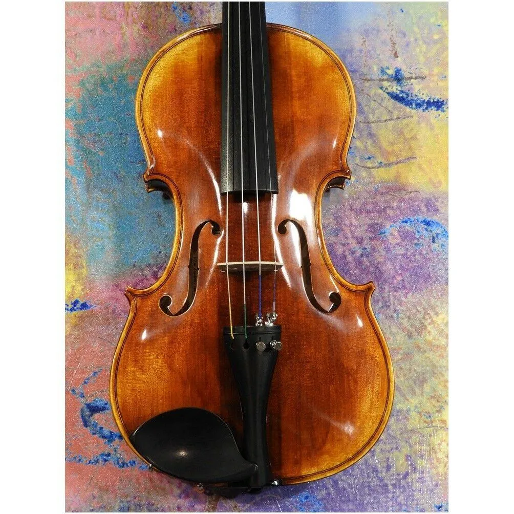 A fine European made 4/4 violin Academy V-250 Model Thomastik Strings Pro Setup - Image 4