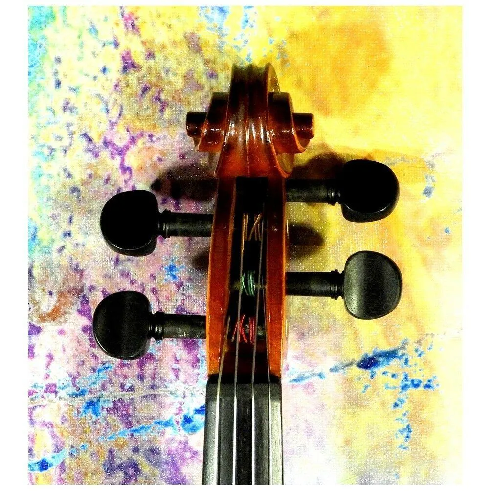 Fine European Made HORA V200 Elite 4/4 violin Outfit set up with Zyex Strings - Image 5