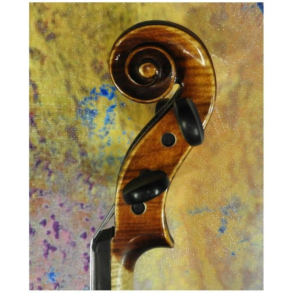 A fine European made 4/4 violin Academy V-250 Model Thomastik Strings Pro Setup - Image 5
