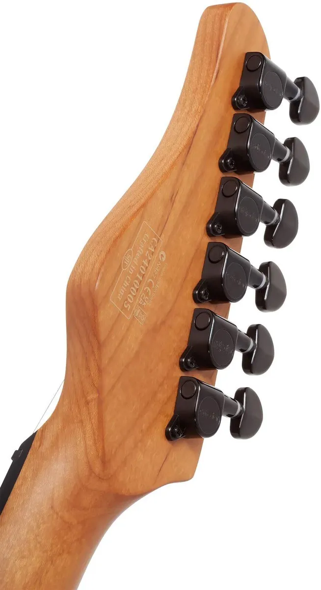 Schecter PT Standard 6 String Electric Guitar - Black Fade Burst Burl - Image 6