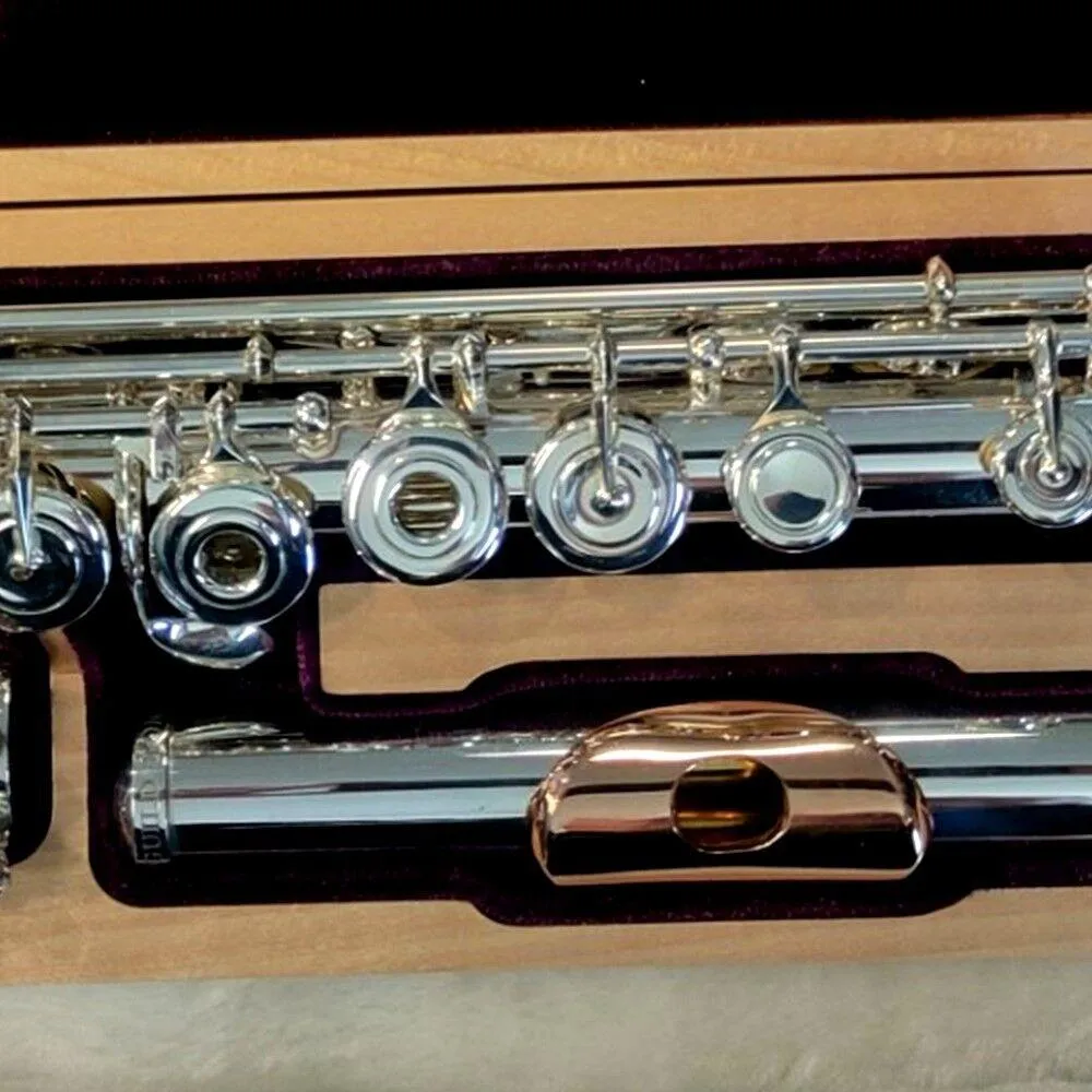 Trevor James TJ-6TCR3S Recital HROEC Flute 9K Gold Lip Plate - Image 6