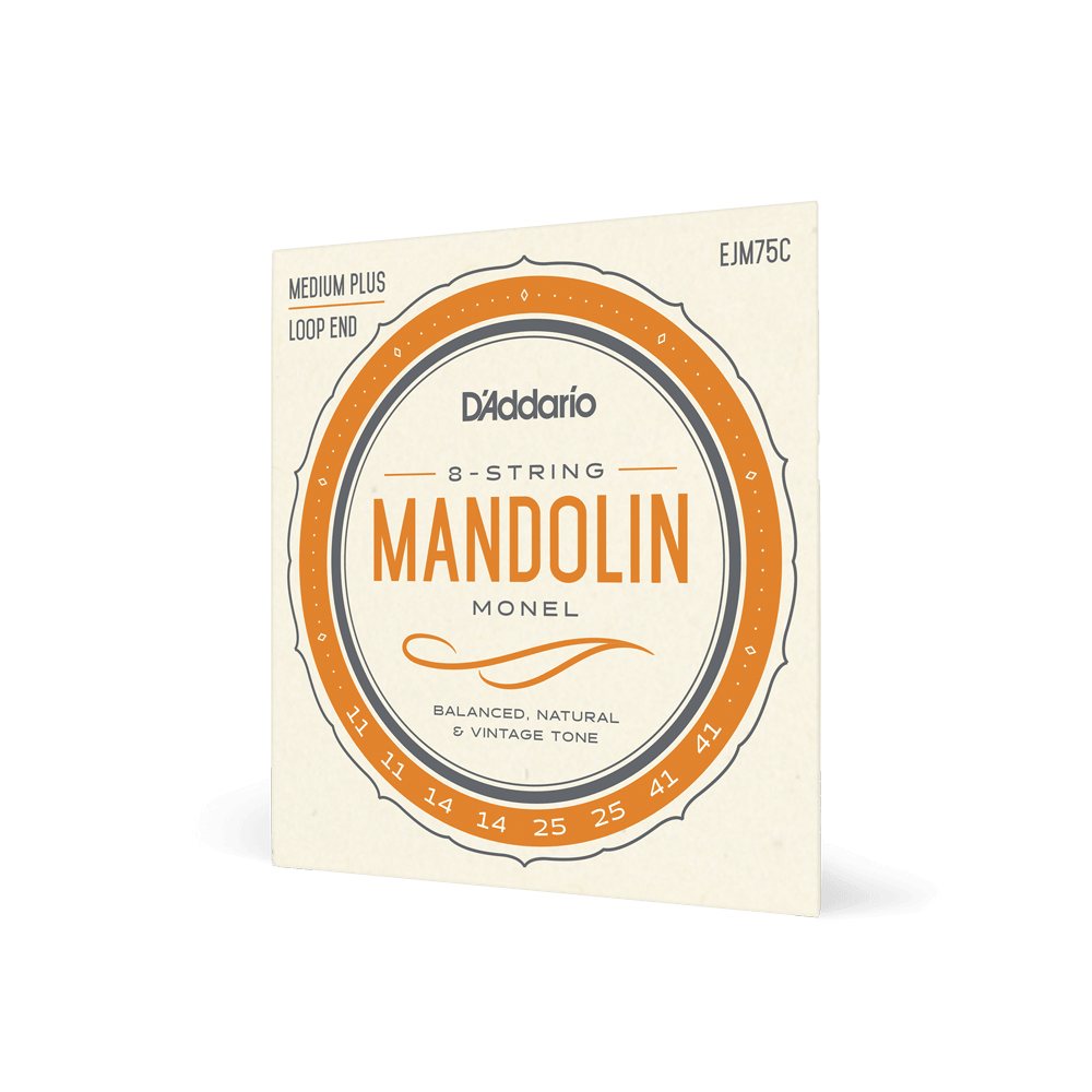D'Addario EJM75C Monel Mandolin Strings, Medium Plus, 11-41 - Image 8