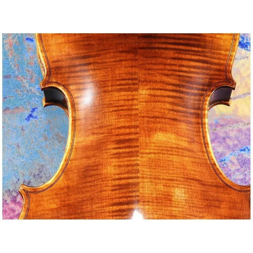 A fine European made 4/4 violin Academy V-250 Model Thomastik Strings Pro Setup - Image 9