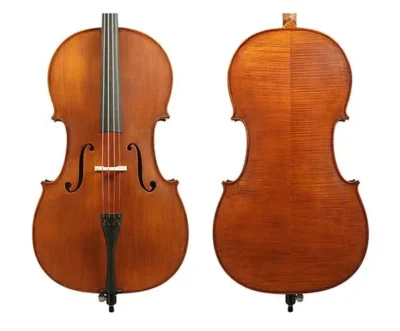 Gliga 2 - 4/4 Cello Outfit Antique Varnish professionally set up