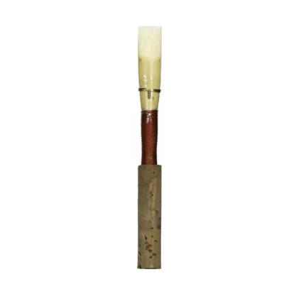 Jones European Scrape Oboe Reed made from Finest French Cane  Medium