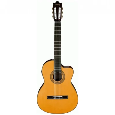 Ibanez GA6CE AM Classical Acoustic / Electric  Guitar