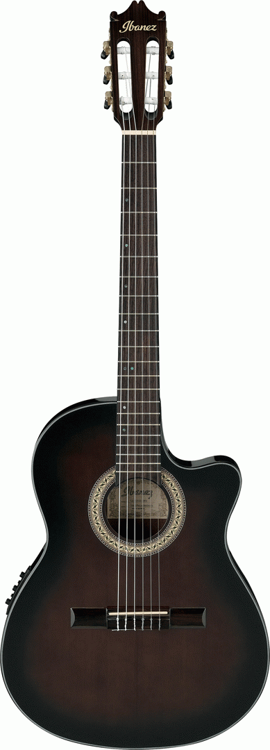 IBANEZ GA35TCE DVS EL.GUITAR