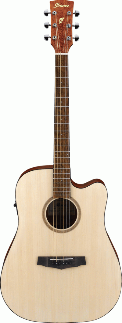 IBANEZ PF10CE OPN AC. GUITAR WITH PICK UP