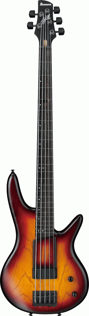 IBANEZ GWB205TQF GARY WILLIS SIGNATURE BASS