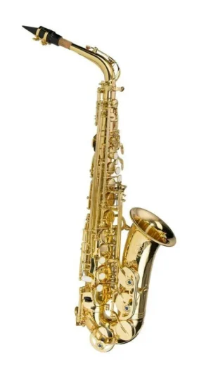 Steinhoff Student Alto Saxophone W/ High F# Key and Case 3 Year Warranty Gold