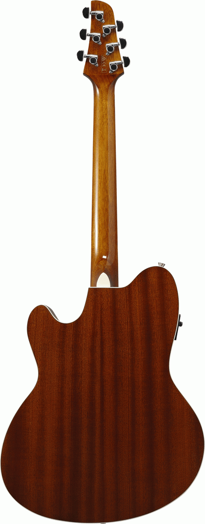 IBANEZ TCY10E SFG ACOUSTIC GUITAR - Image 2
