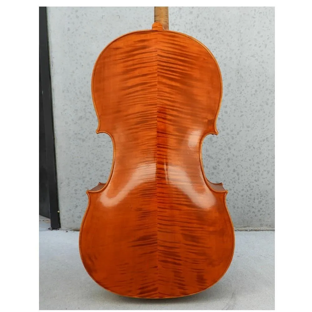 Iesta Luthier cello Baroque ViolinCello - J.C Corelli Fecit anno 2009 - Image 6