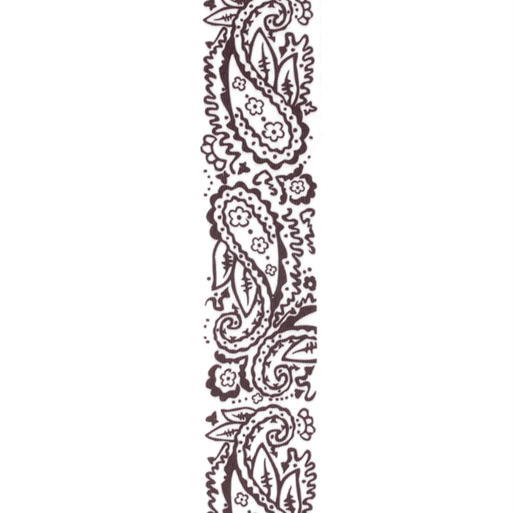 D'Addario Woven Guitar Strap, Paisley, White - Image 6
