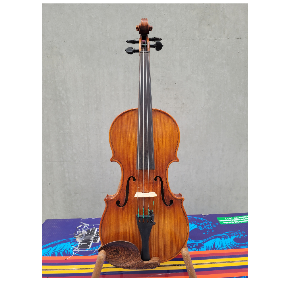 Used 4/4 Violin labelled Samual Shen SV300 - One Piece Back - Image 2