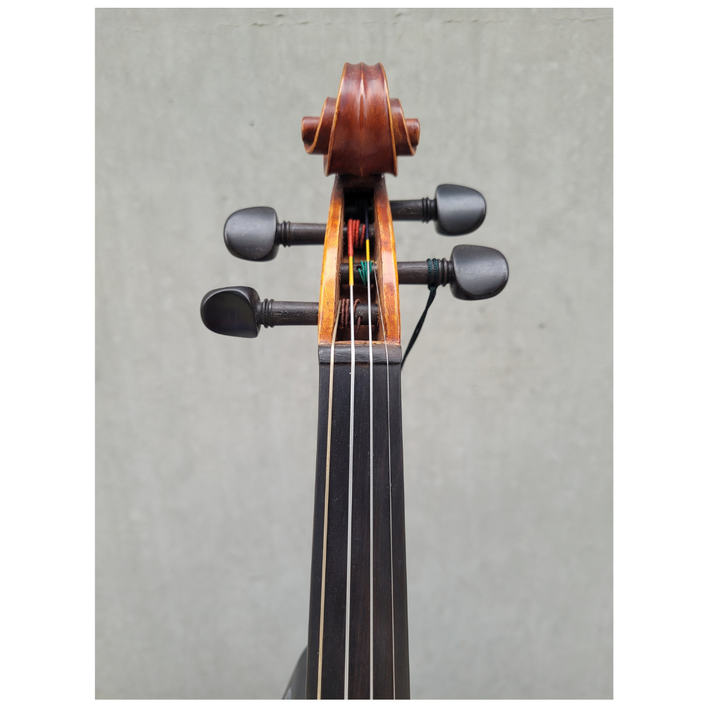 Sandner 3/4 Violin CV-6 Aubert bridge Oil Varnish Pirastro Strings - Image 4