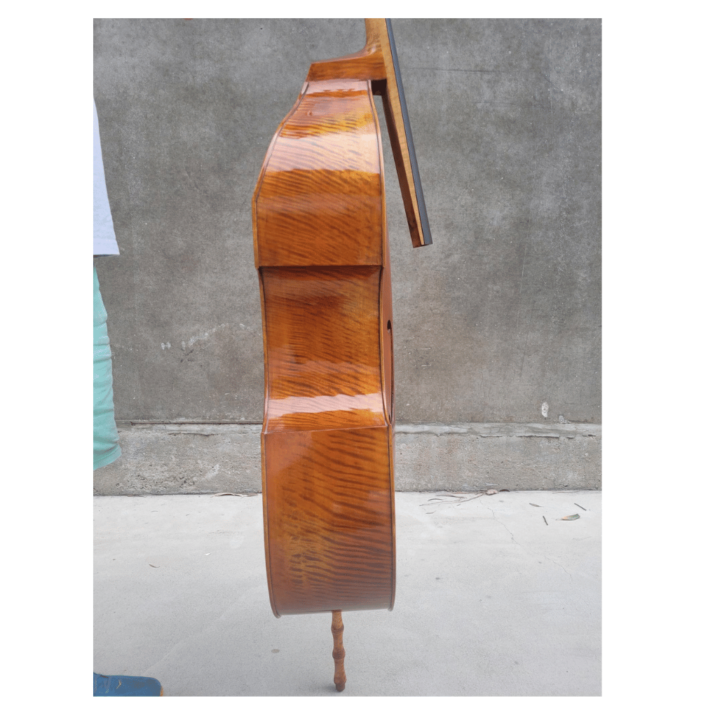 Iesta Luthier Baroque 6 - String viola-da-gamba-Bass after N.Bertrand - Image 3