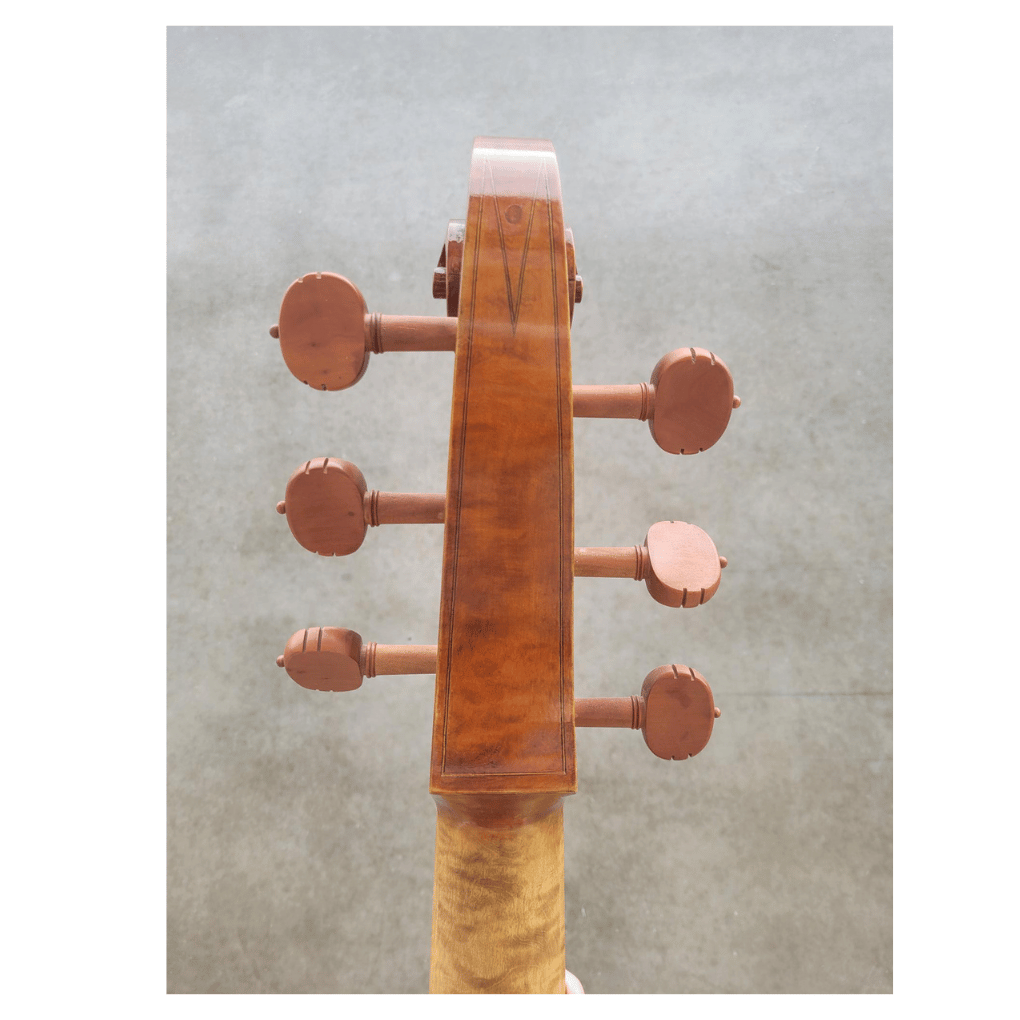 Iesta Luthier Baroque 6 - String viola-da-gamba-Bass after N.Bertrand - Image 5