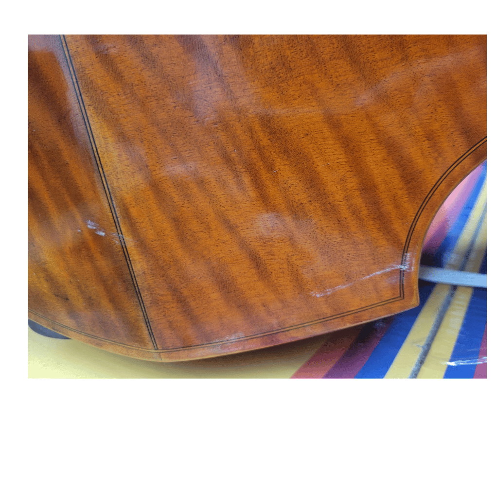 Iesta Luthier Baroque 6 - String viola-da-gamba-Bass after N.Bertrand - Image 4