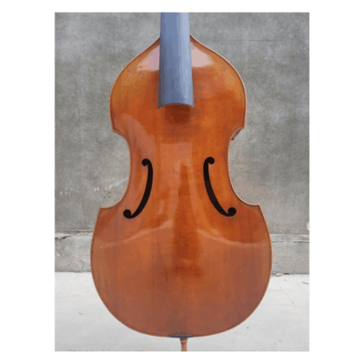 Iesta Luthier Baroque 6 - String viola-da-gamba-Bass after N.Bertrand